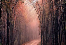 亚冬会：中国队获得女子冰球铜牌.：亿万28