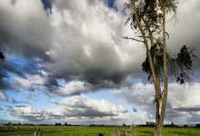 亚冬会:中国队获得女子冰球铜牌.:亿万28