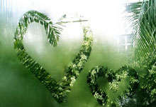 亚冬会：中国队获得女子冰球铜牌.：亿万28