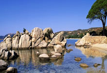 1亿转会费加盟恒大，加入中国籍后，他为何代表国足0出战？.